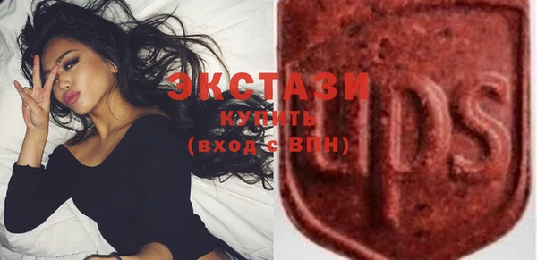 тгк Каменка