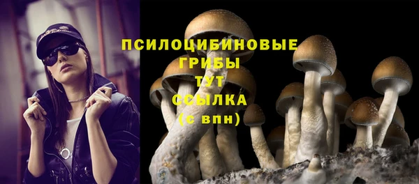 не бодяженный Каменск-Шахтинский