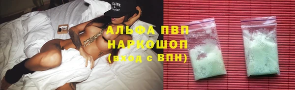 стафф Каменногорск