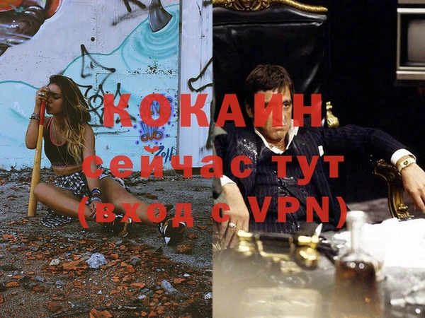 стафф Каменногорск