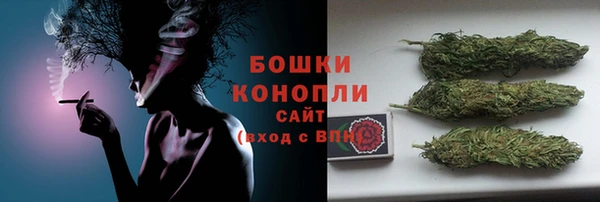 тгк Каменка
