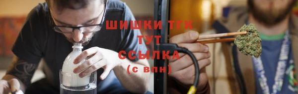 стафф Каменногорск