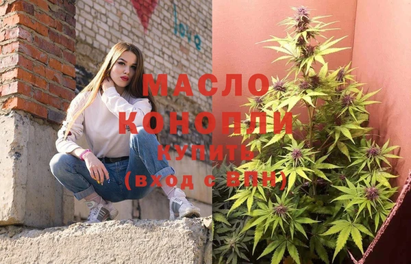 тгк Каменка