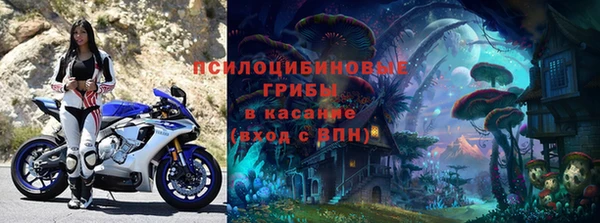 стафф Каменногорск