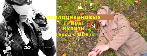 стафф Каменногорск