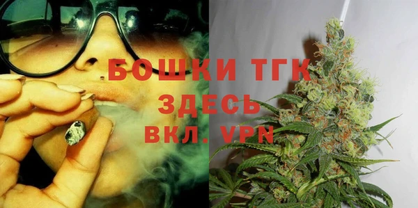 тгк Каменка