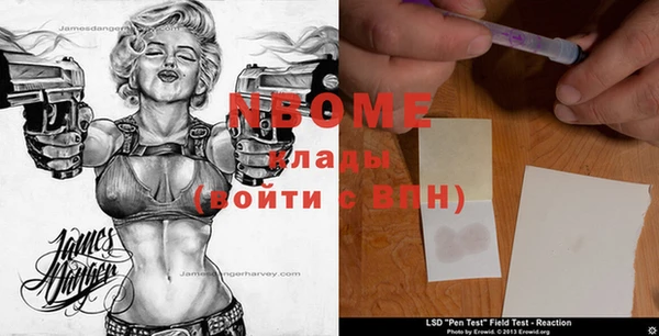 тгк Каменка