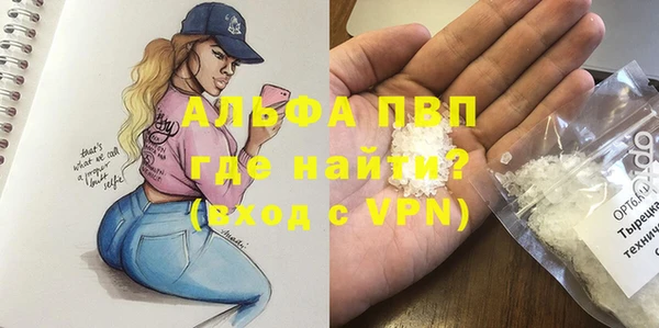 стафф Каменногорск