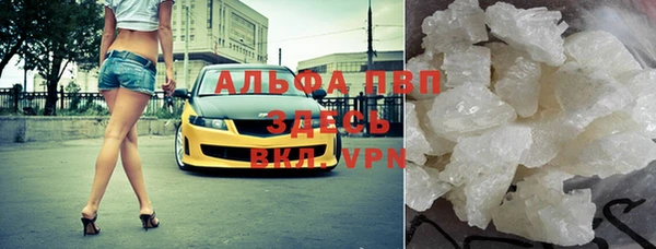 тгк Каменка