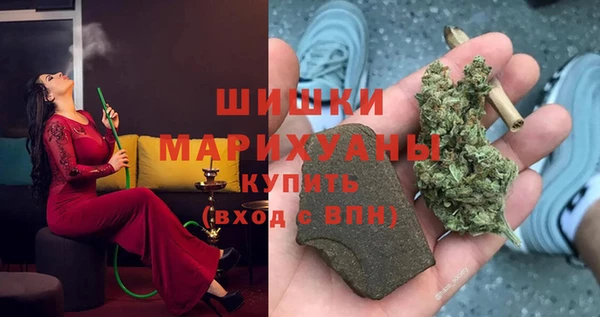 тгк Каменка