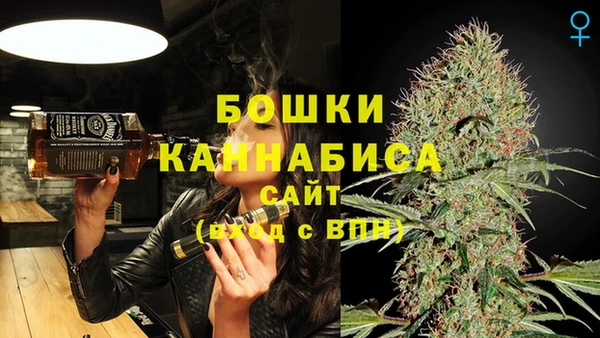 тгк Каменка