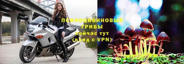 тгк Каменка