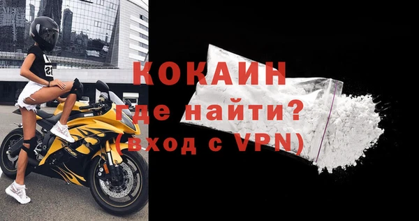 тгк Каменка