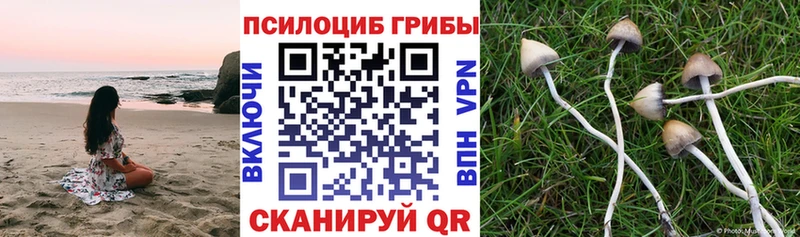 Галлюциногенные грибы MAGIC MUSHROOMS  Купить  Елец 